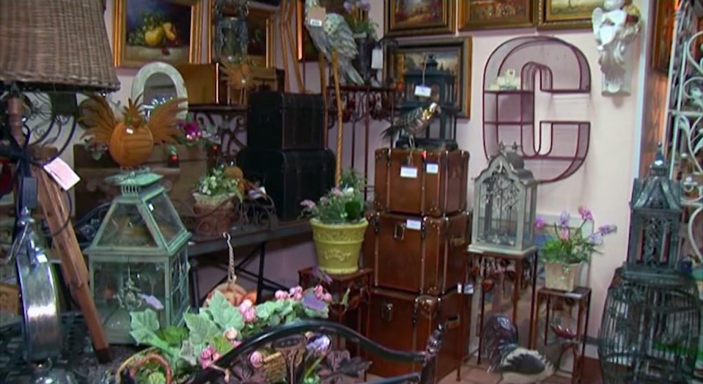 აშშ-სა და ევროპაში ცნობილი ბრენდი Zaer-ის ექსკლუზიური კოლექცია