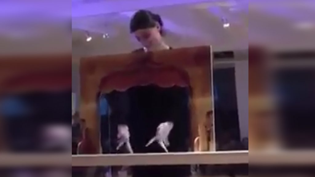 ვიდეო: თინათინ წულაძის თითების თეატრის პერფორმანსი