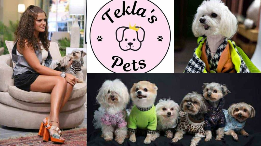 ოთხფეხა მეგობრების სამოსი